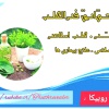 کانال روبیکا طب سنتی . طب اسلامی