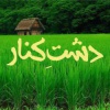 کانال ایتا برنج ایرانی | دشتِ‌کنار🌾